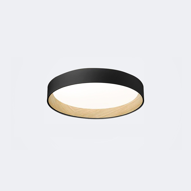 Quinn Ceiling Light Single Layer, Metal