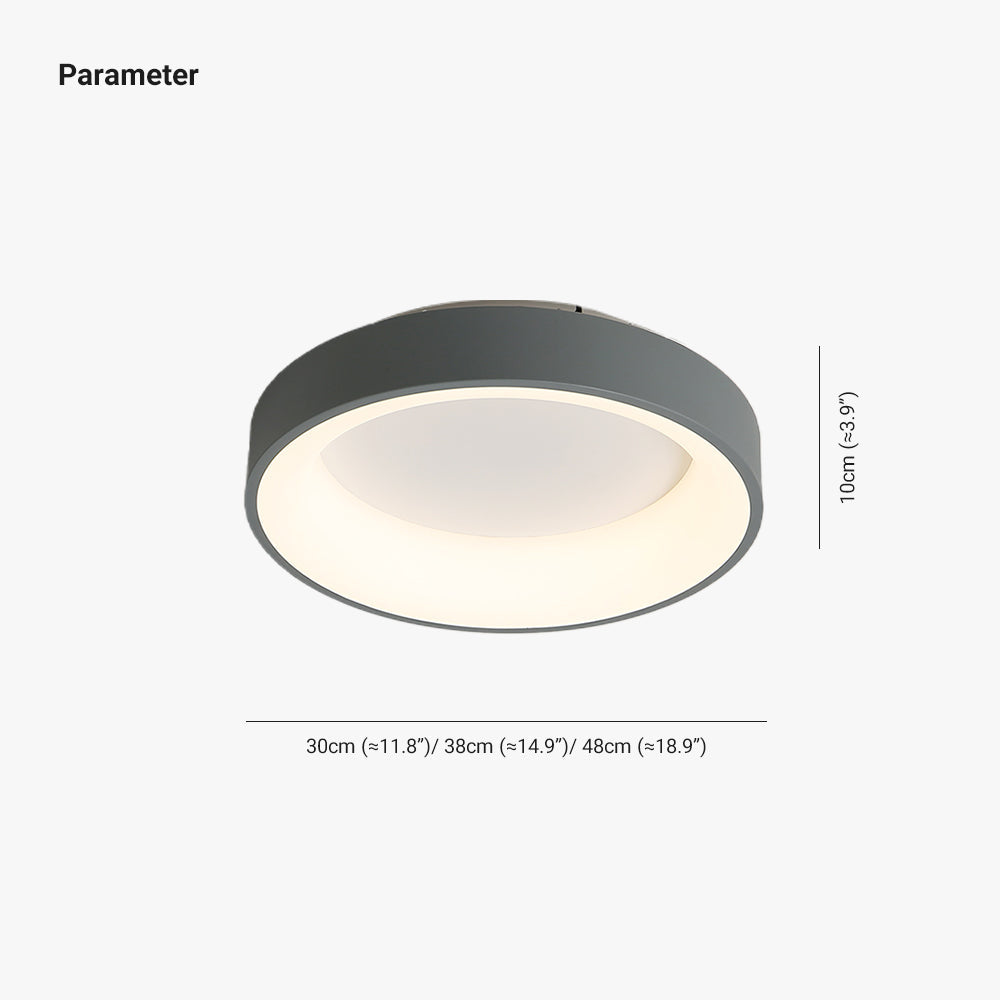 Quinn Flush Mount Ceiling Light Remote Control Dimmable, Dia 30/38/48cm