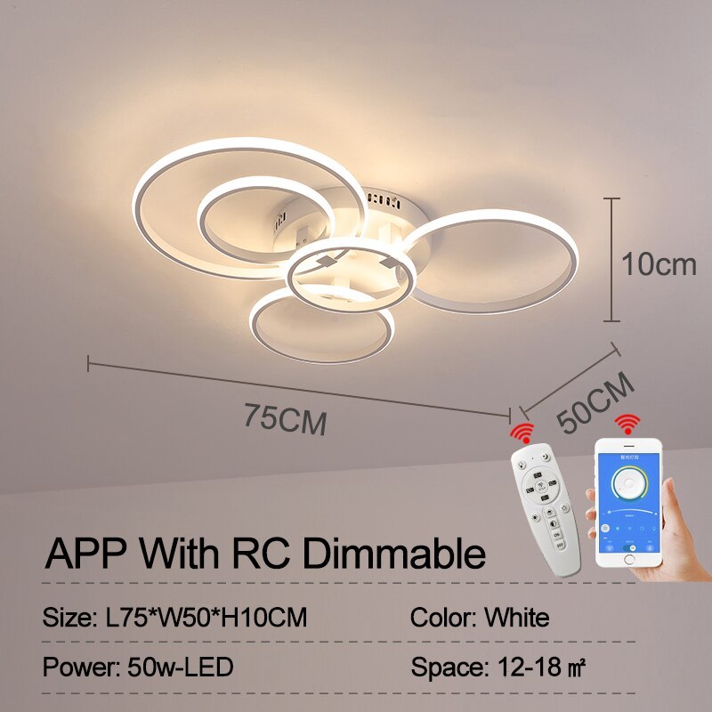 Lacey Ceiling Light Circle Ring