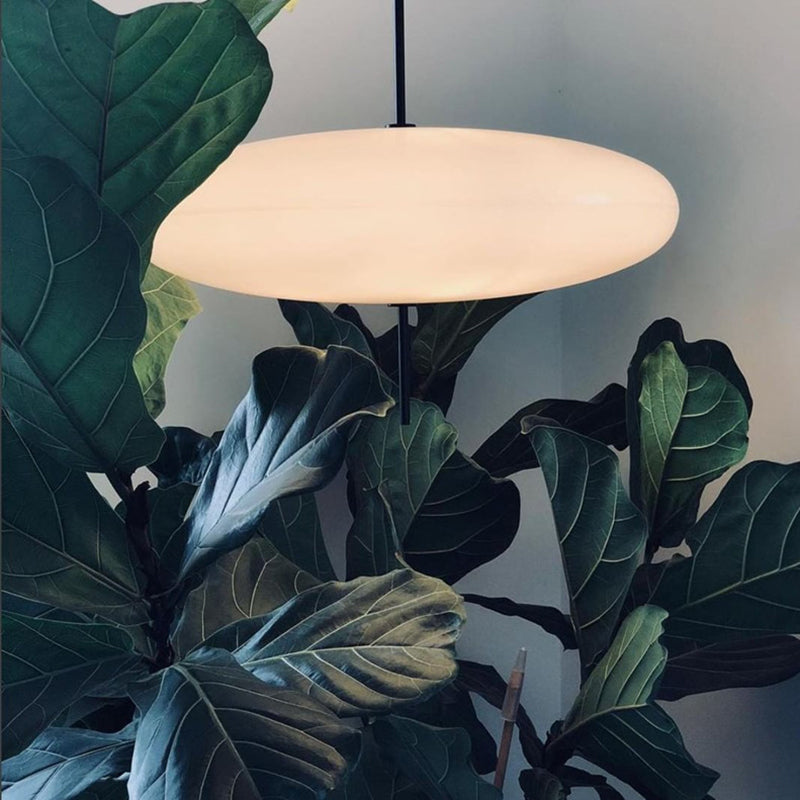 Leilani Pendant Light Oval