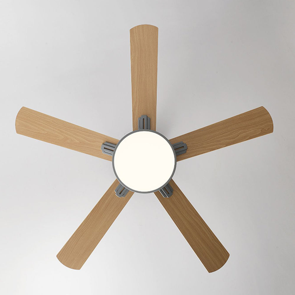Walters 5-Blade Ceiling Fan with Light, 3 Colour, DIA107/132CM