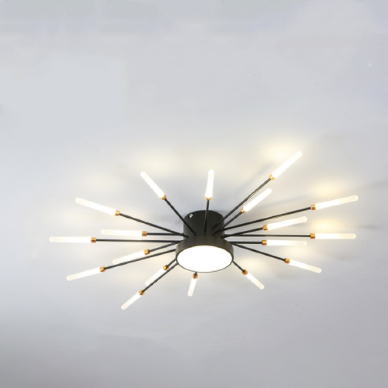 Lowry Ceiling Light Fireworks