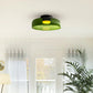 Morandi Modern Simple Creative Glass Flush Mount Ceiling Light