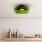 Morandi Modern Simple Creative Glass Flush Mount Ceiling Light