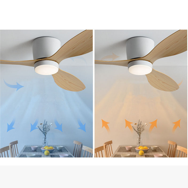 Walters Minimalist 3-Blade Ceiling Fan, 2 Colour, Metal & ABS, DIA130CM