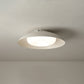 Carins Flush Mount Ceiling Light Remote Control Dimmable