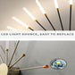 Lowry Ceiling Light Fireworks