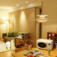 Morandi Pendant Light, DIA 35CM/43CM/50CM