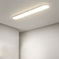 Edge Oval Flush Mount Ceiling Light, 2 Colour, L 40CM/60CM/80CM