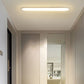 Edge Oval Flush Mount Ceiling Light, 2 Colour, L 40CM/60CM/80CM