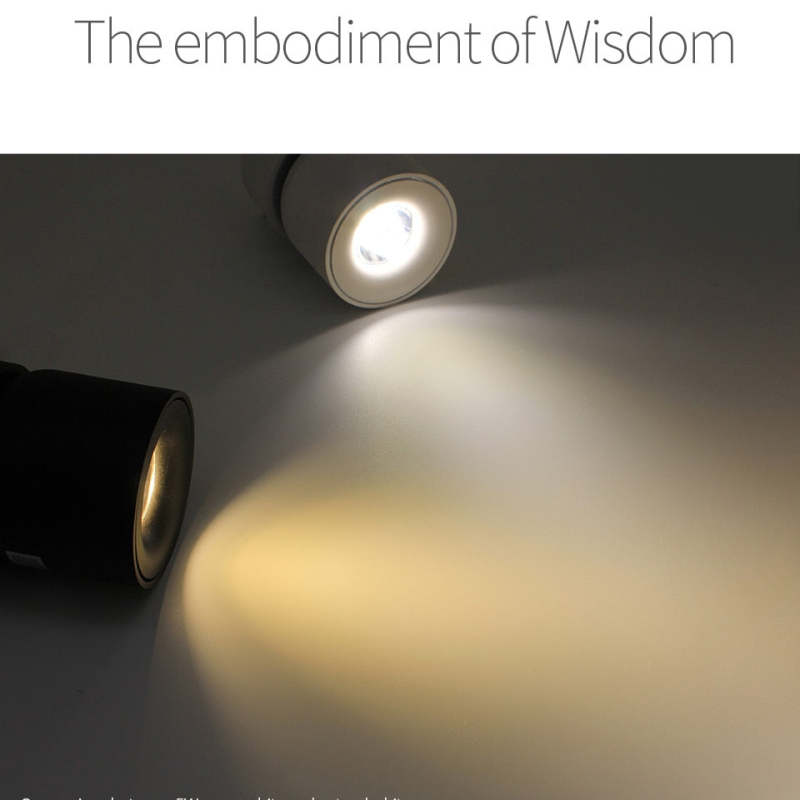 Nordic LED Surface Mounted Spotlight for Corridor & Living Room