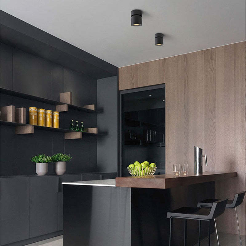 Nordic LED Surface Mounted Spotlight for Corridor & Living Room