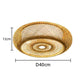 Muto Ceiling Light
