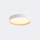 Quinn Ceiling Light Single Layer, Metal