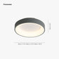 Quinn Flush Mount Ceiling Light Remote Control Dimmable, Dia 30/38/48cm