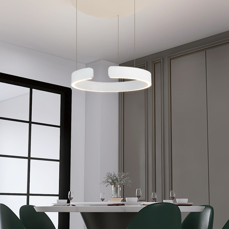 Edge Pendant Light, Circle