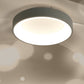 Quinn Flush Mount Ceiling Light Remote Control Dimmable, Dia 30/38/48cm