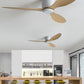 Walters Minimalist 3-Blade Ceiling Fan, 2 Colour, Metal & ABS, DIA130CM