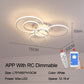 Lacey Ceiling Light Circle Ring