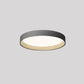 Quinn Ceiling Light Single Layer, Metal
