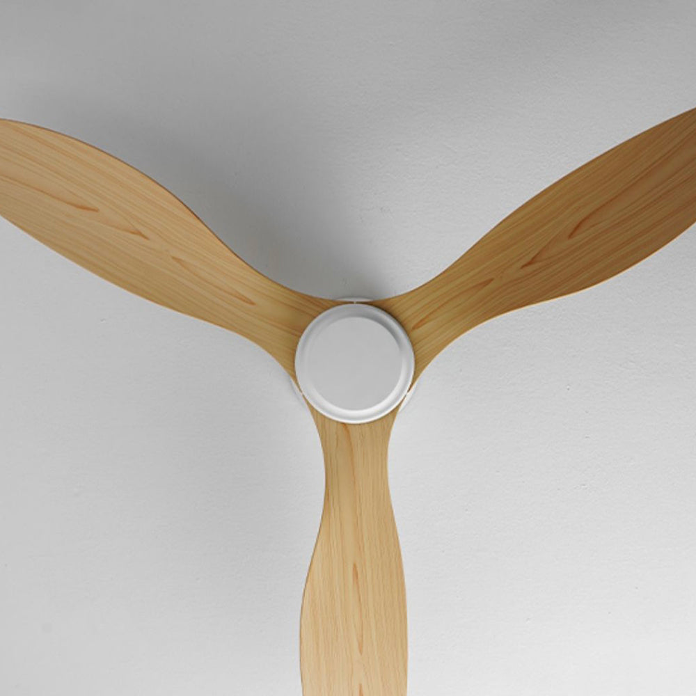 Walters Minimalist 3-Blade Ceiling Fan, 2 Colour, Metal & ABS, DIA130CM