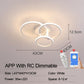 Lacey Ceiling Light Circle Ring