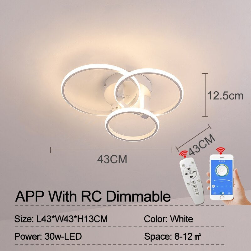 Lacey Ceiling Light Circle Ring