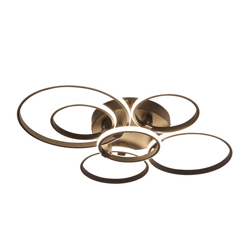 Lacey Ceiling Light Circle Ring