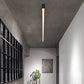 Edge Flush Mount Ceiling Light, L 60/80/100/120CM