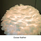 O'Moore Table Lamp Tripot, Feather