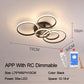 Lacey Ceiling Light Circle Ring