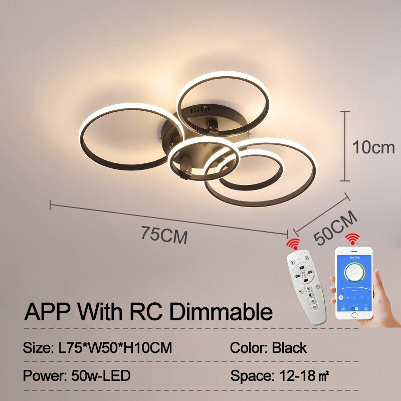 Lacey Ceiling Light Circle Ring