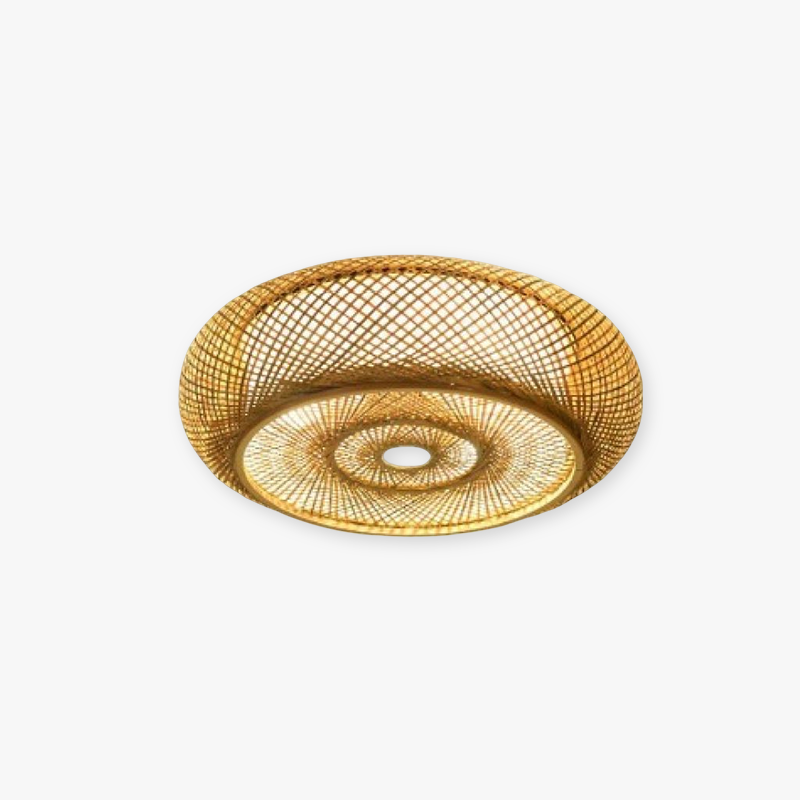 Muto Ceiling Light
