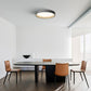 Quinn Ceiling Light Single Layer, Metal