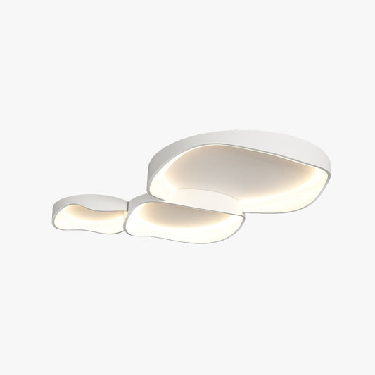 Arisha Flush Mount Ceiling Light Colour Temperature Switchable, Dia40/50/90/110cm