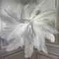 O'Moore Floor Lamp, Ostrich Feather & Metal