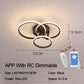 Lacey Ceiling Light Circle Ring