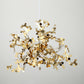 Olivia Cluster Pendant Light 2 Colour, 1/3/4 Head