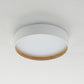 Quinn Ceiling Light Single Layer, Metal