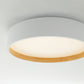 Quinn Ceiling Light Single Layer, Metal