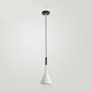 Nordic Modern Led Pendant Light for Kitchen &Living Room