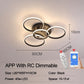 Lacey Ceiling Light Circle Ring