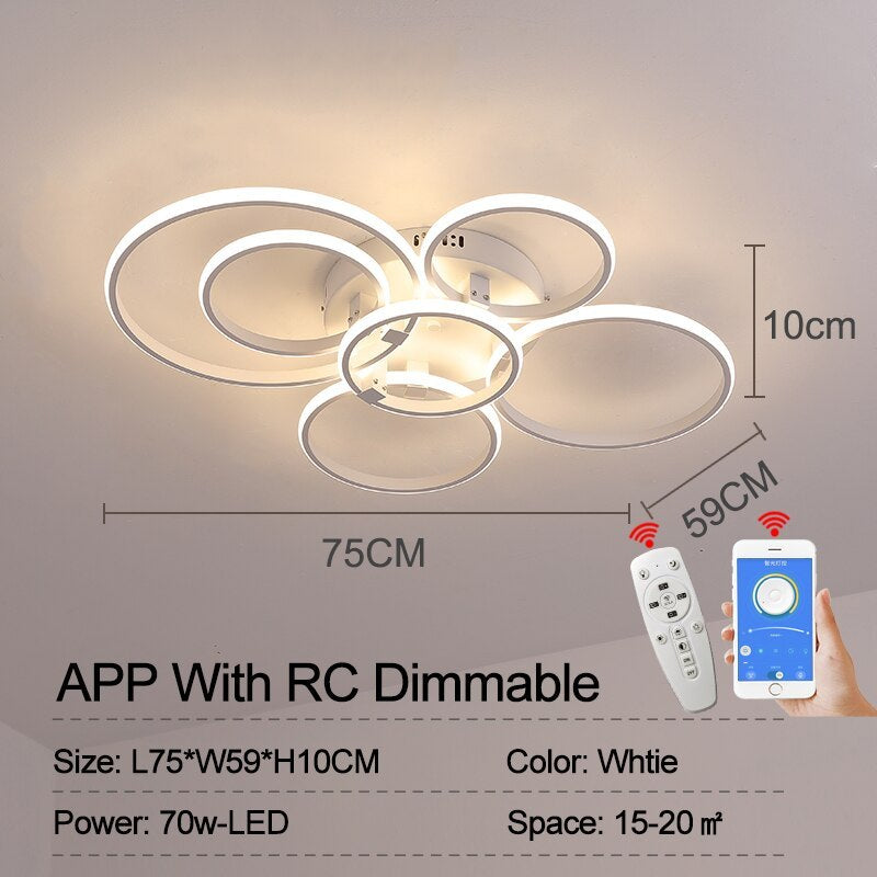Lacey Ceiling Light Circle Ring