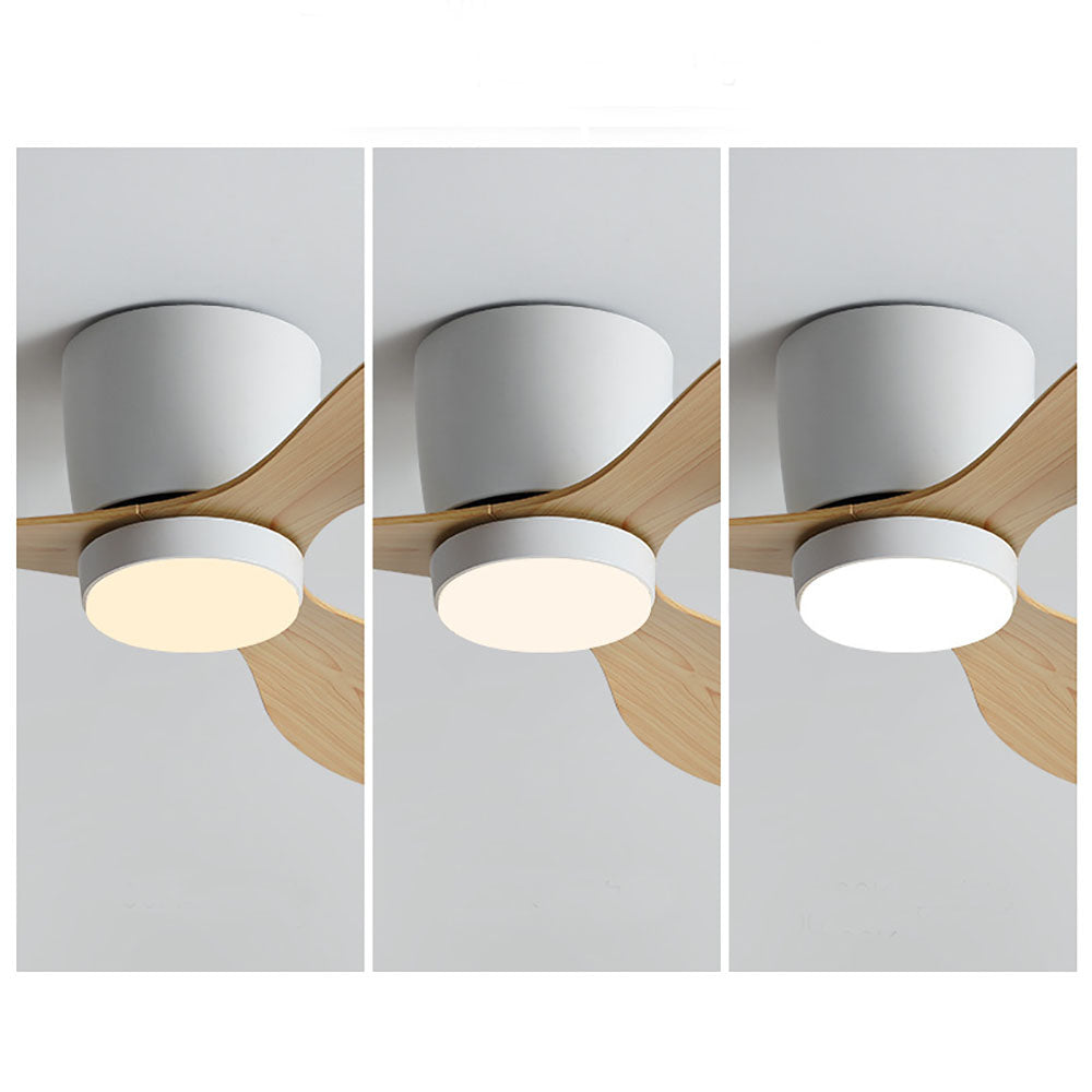 Walters Minimalist 3-Blade Ceiling Fan, 2 Colour, Metal & ABS, DIA130CM