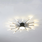Lowry Ceiling Light Fireworks